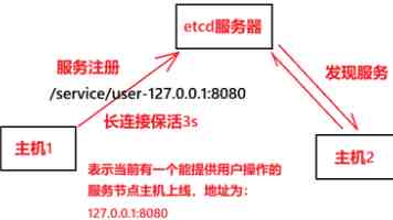 密挑91到底好不好种｜真实口感与栽培技巧