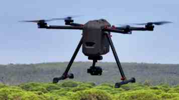 法国空姐2024满天星法版 - 选拔实战与职业真相