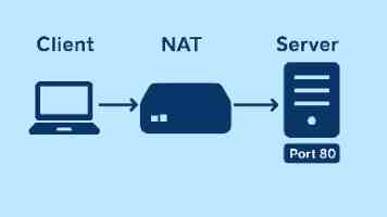 在船里养鱼，全球首艘三文鱼养殖工船“苏海 1 号”今天首捕