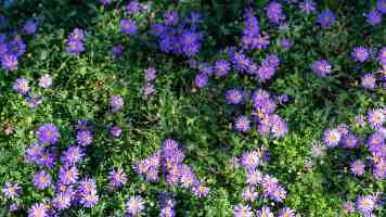 汤姆私人影院|实测:万元预算如何打造沉浸式观影空间