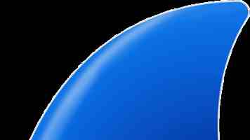 榨汁精灵的繁衍要求第二季 - 剧情走向与精灵族设定深挖