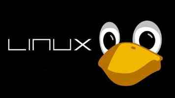 近镜头·习近平的文化足迹 | “把世界上唯一没有中断的文明继续传承下去”