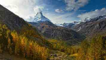 小太妹免费mp3下载安装教程十月份有雨吗百度查天气