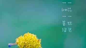 s8sp网络加密路线和隐藏路线 - 防护实测与选型思路